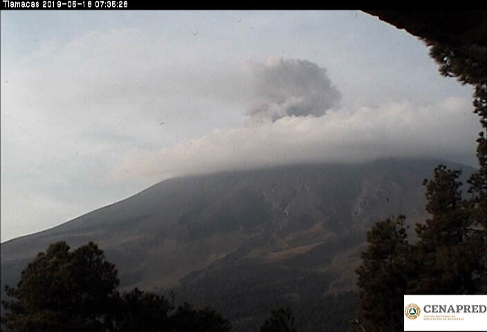 En las últimas 24 horas, por medio de los sistemas de monitoreo del volcán Popocatépetl, se identificaron 22 exhalaciones acompañadas de vapor de agua y gas. Además se registraron 35 minutos de tremor.