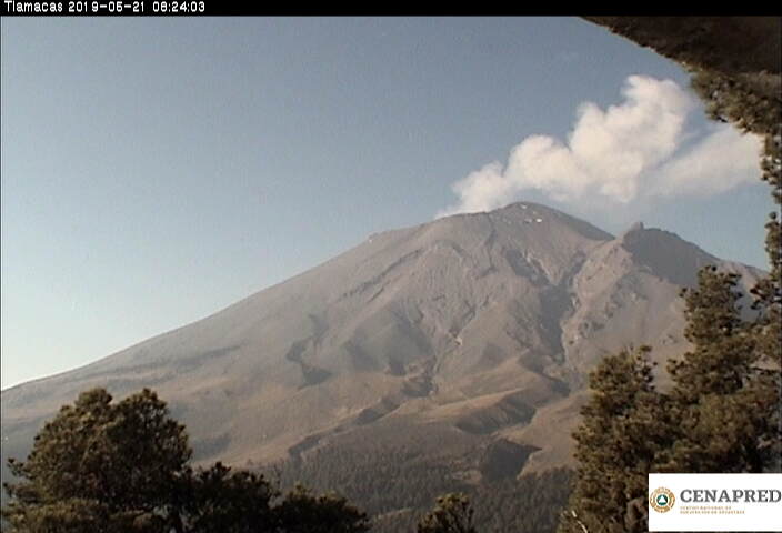 En las últimas 24 horas, por medio de los sistemas de monitoreo del volcán Popocatépetl se identificaron 39 exhalaciones de baja intensidad, acompañadas de vapor de agua y gas, y en algunas ocasiones pequeñas cantidades de ceniza 