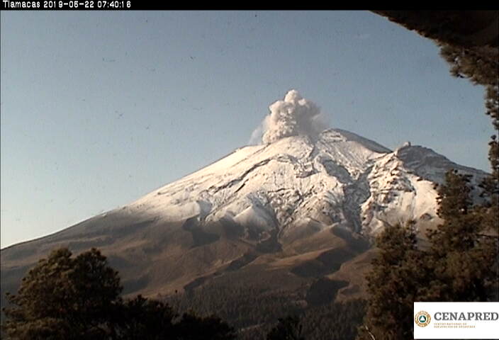 En las últimas 24 horas, por medio de los sistemas de monitoreo del volcán Popocatépetl se identificaron 32 exhalaciones de baja intensidad, acompañadas de vapor de agua, gas y ceniza.