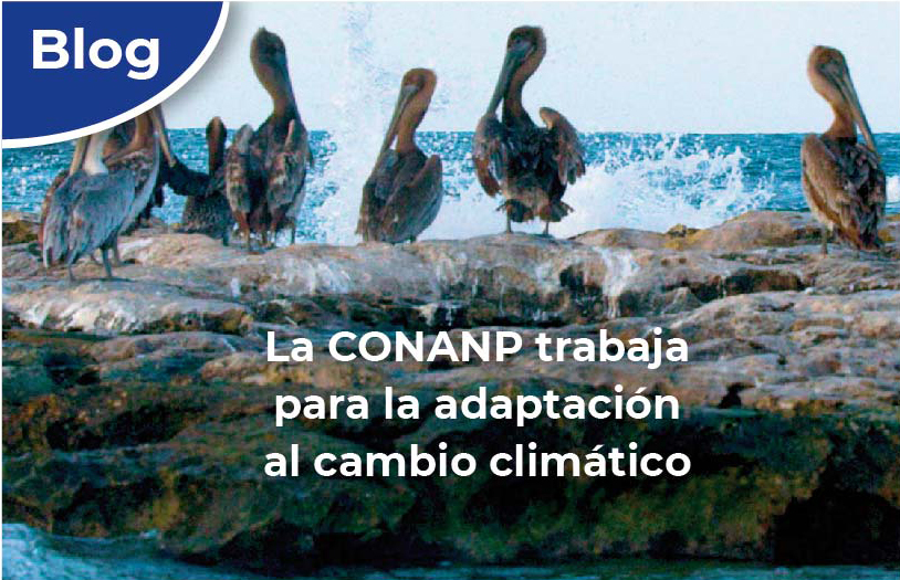 La CONANP trabaja para la adaptación al cambio climático