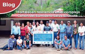 Fortalecen resiliencia en el complejo Cañón de Sumidero-Selva el Ocote