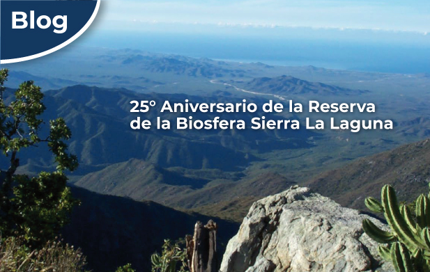 Paisaje montañoso de la Reserva de la Biosfera Sierra La Laguna
