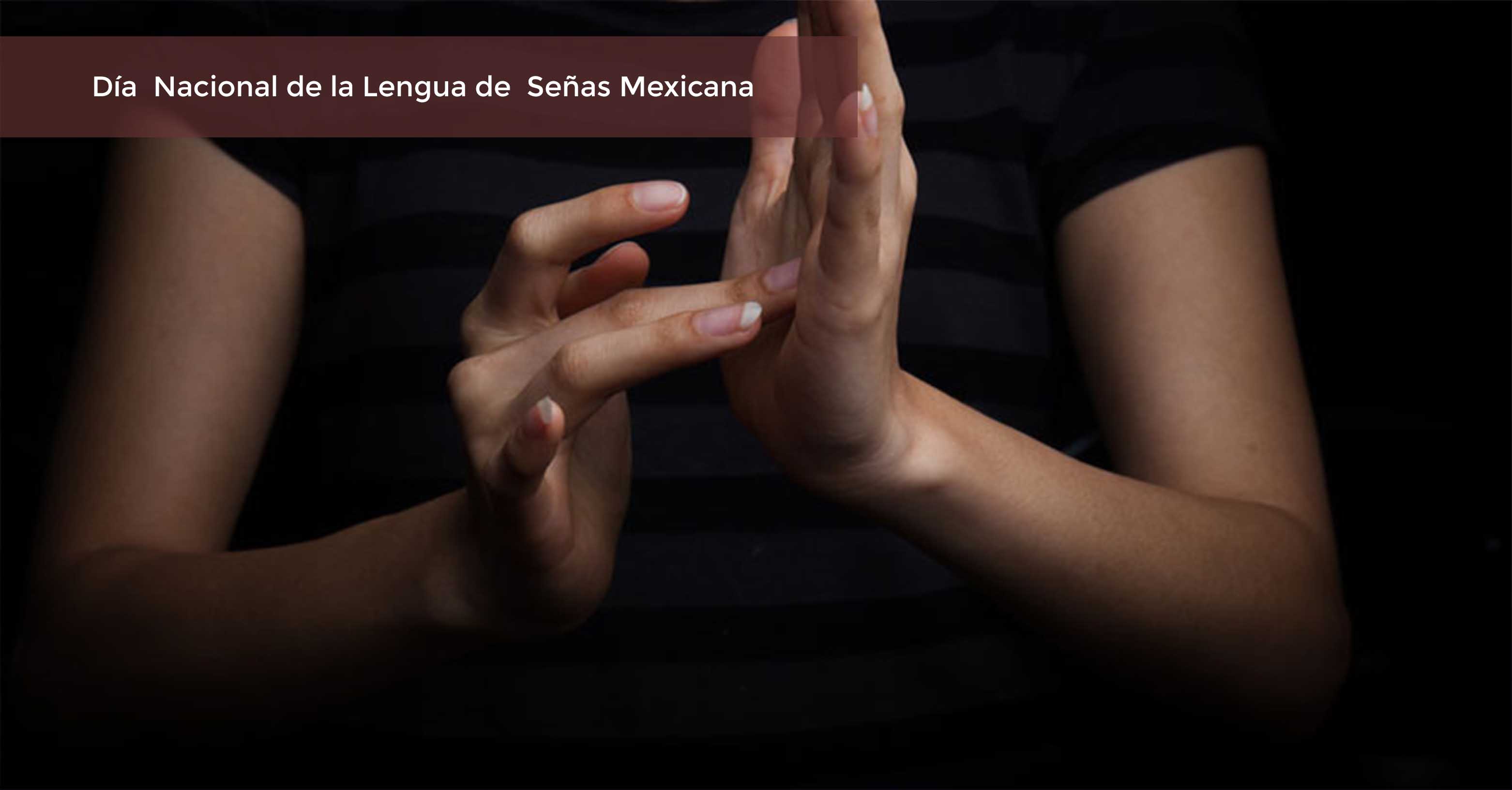 Persona hablando lengua de señas mexicana, sólo se visualizan sus manos y tiene un fondo negro