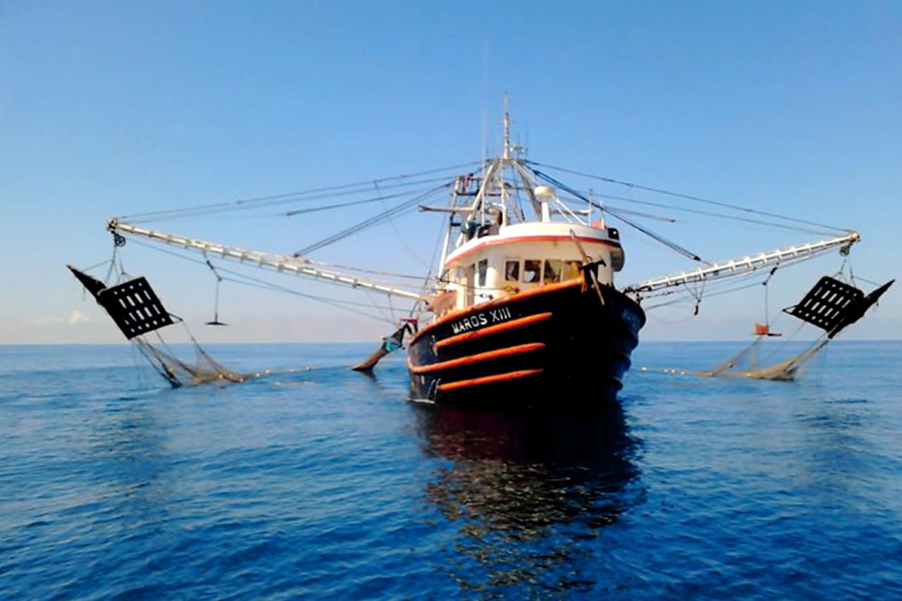 Como parte de las acciones en materia de ordenamiento pesquero y acuícola, el Gobierno Federal puso en marcha, a través de la Conapesca, el programa de Ordenación Pesquera.