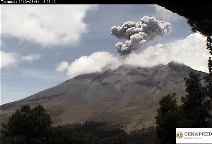 En las últimas 24 horas por medio de los sistemas de monitoreo del volcán Popocatépetl, se registró una explosión a las 13:04 h, que generó una columna de ceniza de 1.5 km de altura, y se identificaron 80 exhalaciones, acompañadas de vapor de agua y gases