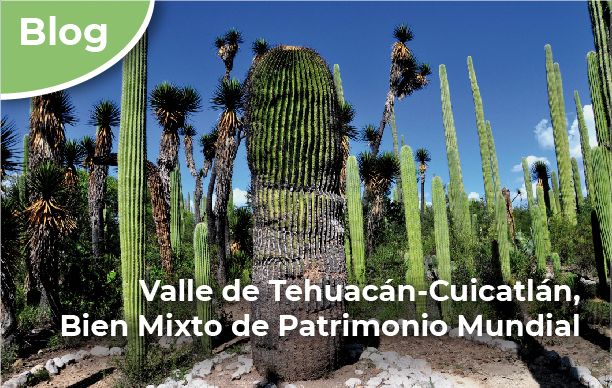 Valle de Tehuacá-Cuicatlán Bien Mixto de Patrimonio Mundial