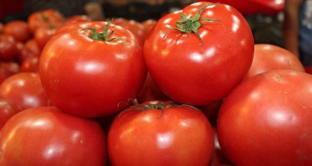 Realizan reunión SADER, ECONOMÍA, Gobierno de Sinaloa y productores de tomate para preparar estrategia a favor de los exportadores nacionales