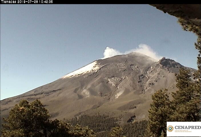 En las últimas 24 horas por medio de los sistemas de monitoreo del volcán Popocatépetl, se identificaron 337 exhalaciones, acompañadas de vapor de agua, gas y ligeras cantidades de ceniza.