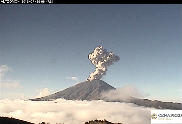 En las últimas 24 horas por medio de los sistemas de monitoreo del volcán Popocatépetl, se identificaron 233 exhalaciones, cinco explosiones y 389 minutos de tremor.