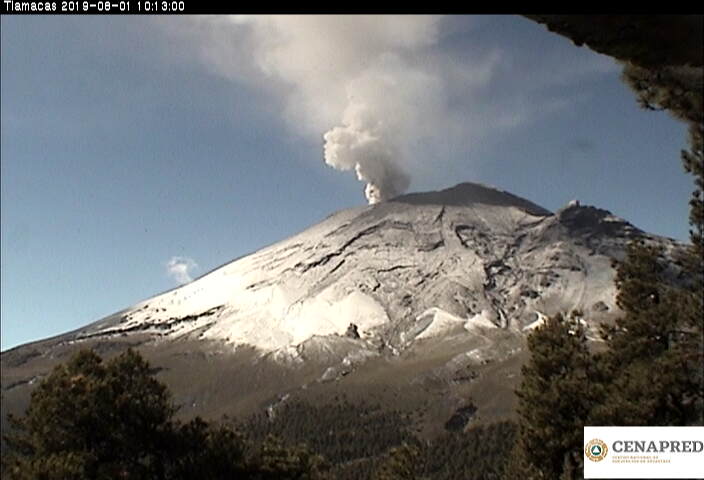 En las últimas 24 horas por medio de los sistemas de monitoreo del volcán Popocatépetl se identificaron 189 exhalaciones, acompañadas de vapor de agua, gas y bajas cantidades de ceniza. Además, se registraron seis explosiones menores el día de ayer.