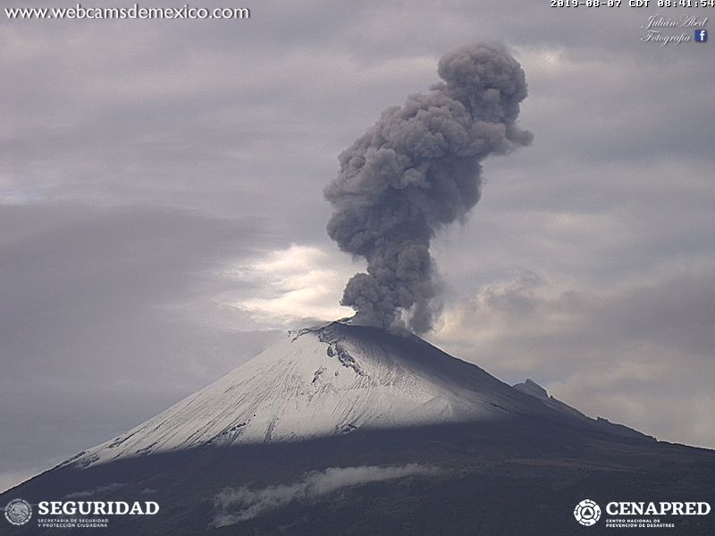 En las últimas 24 horas por medio de los sistemas de monitoreo del volcán Popocatépetl se identificaron 147 exhalaciones, acompañadas de vapor de agua, gas y bajas cantidades de ceniza.