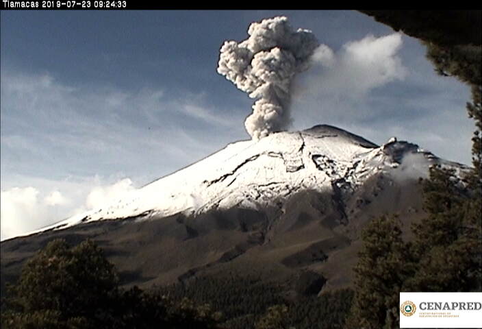 En las últimas 24 horas por medio de los sistemas de monitoreo del volcán Popocatépetl se identificaron 171 exhalaciones, acompañadas de vapor de agua, gas y bajas cantidades de ceniza.