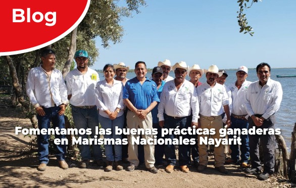 Participantes del taller de buenas prácticas ganaderas en la Reserva de la Biósfera Marismas Nacionales Nayarit.