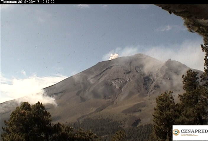 En las últimas 24 horas, por medio de los sistemas de monitoreo del volcán Popocatépetl se identificaron 231 exhalaciones, acompañadas de ligeras cantidades de ceniza, así como 12 explosiones, tres de ellas moderadas y el resto menores. 