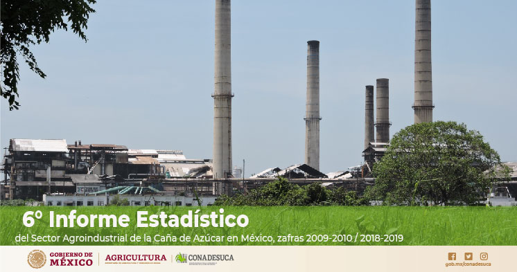 6° Informe estadístico del sector agroindustrial de la caña de azúcar en México. Zafras 2009-2010 / 2018-2019