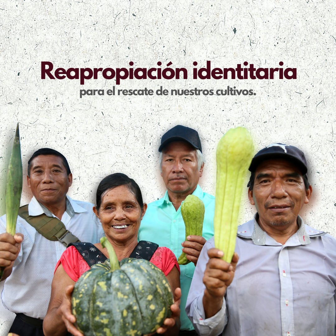 Reapropiación identitaria para el rescate de nuestros cultivos