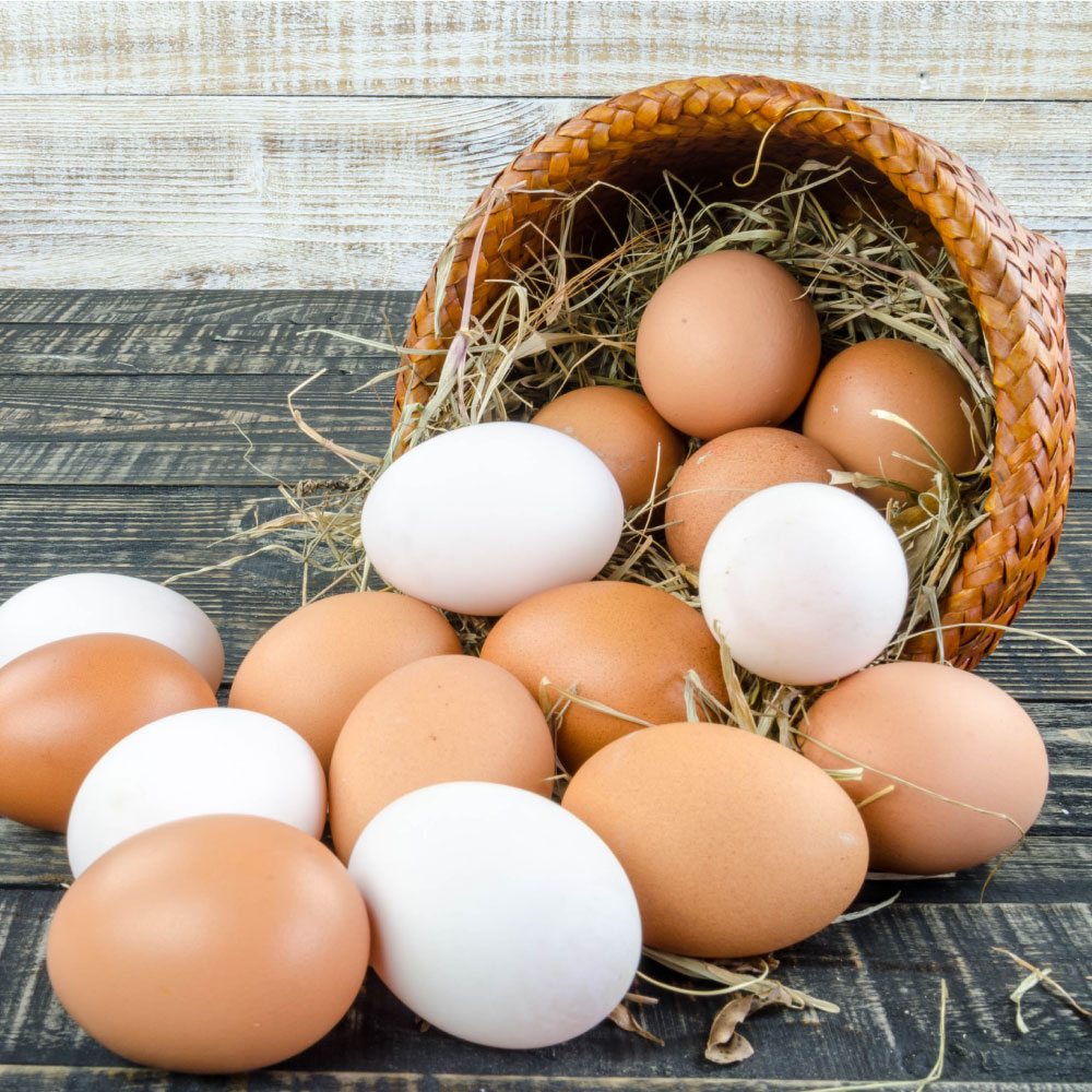 El color del cascarón del huevo (blanco o marrón) dependerá de la raza de la gallina, en tanto que la tonalidad de la yema es la que resulta de la alimentación del ave. 