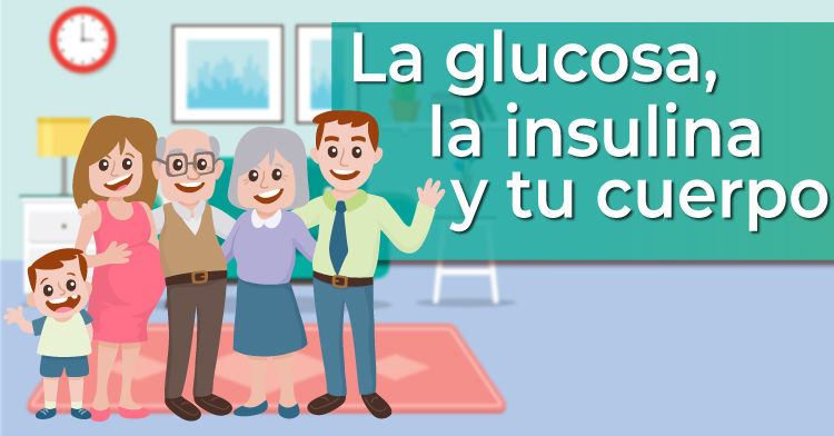 La glucosa, la insulina y tu cuerpo
