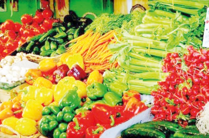 Las hortalizas concentran un 20% de participación en las exportaciones.