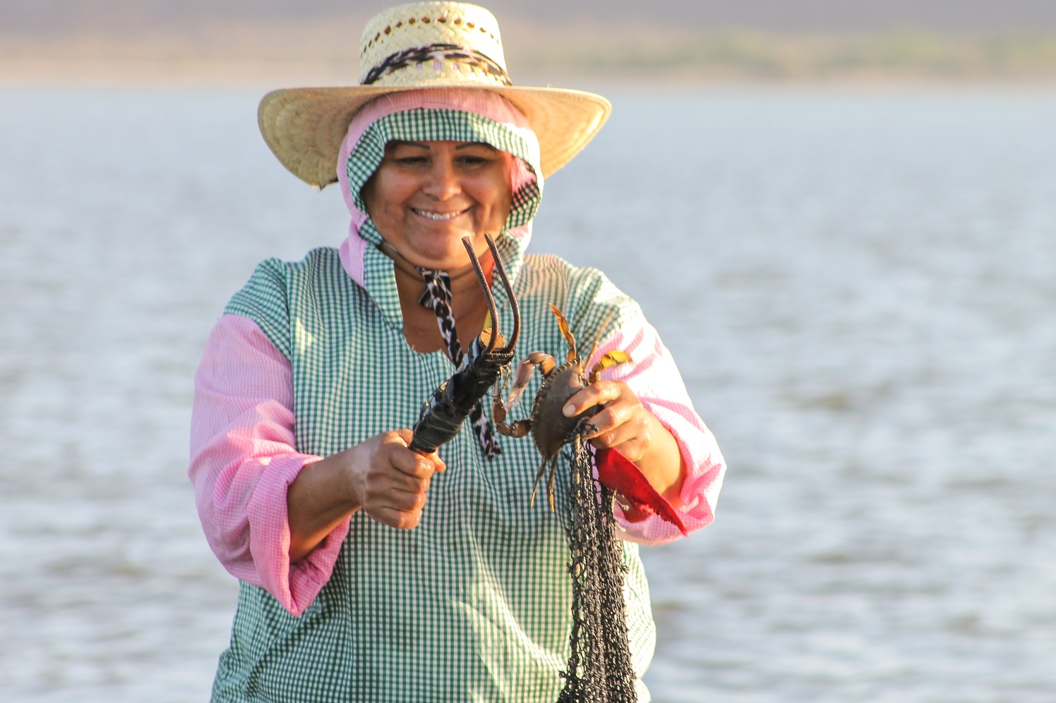 La jaiba constituye una de las principales pesquerías del país, al contribuir con la economía regional de las entidades en donde se captura.