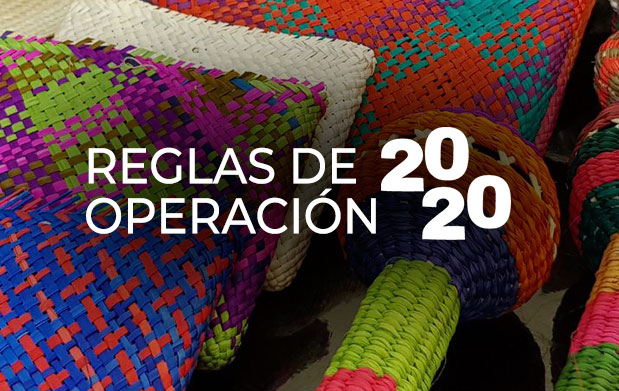 Reglas de Operación 2020 de los Programas del INPI.