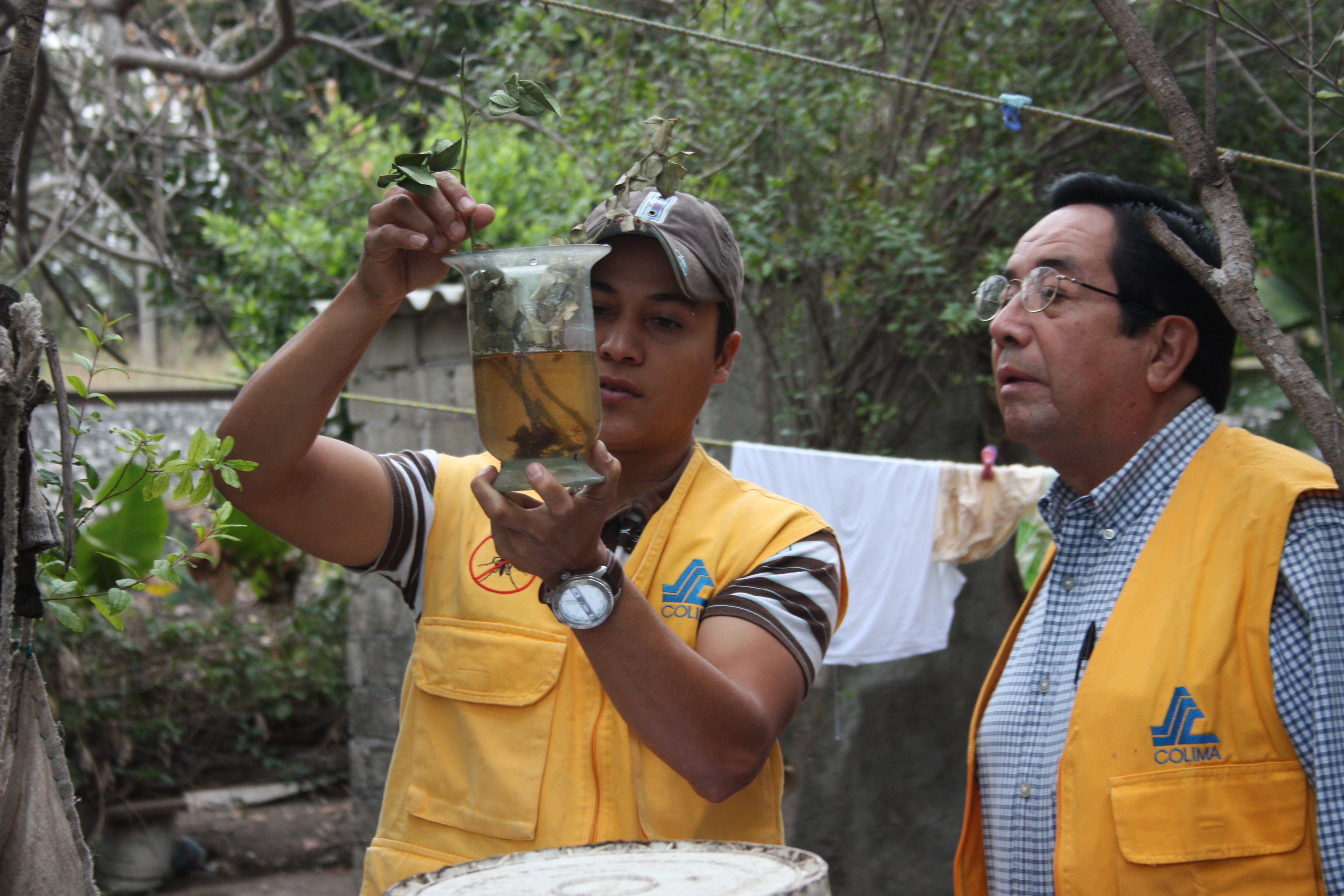 Hombres revisando el frasco con posibles larvas de mosquitos.