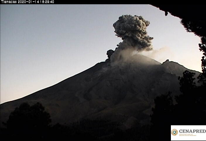 Por medio de los sistemas de monitoreo del volcán Popocatépetl se identificaron 183 exhalaciones compuestas de vapor de agua, gases volcánicos y bajo contenido de ceniza  109 minutos de tremor y una explosión ayer a las 18:27 h