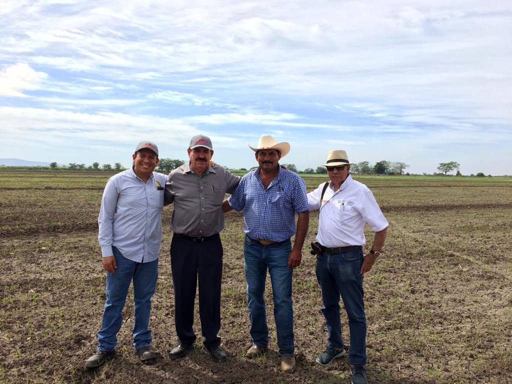 Acuerda SEGALMEX acciones para incrementar producción de arroz en Villa Hidalgo, Nayarit