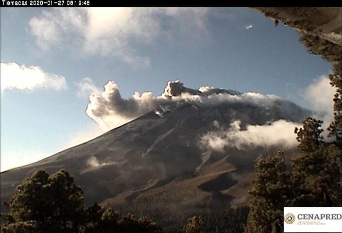 Por medio de los sistemas de monitoreo del volcán Popocatépetl se identificaron 73 exhalaciones compuestas de vapor de agua, gases volcánicos y bajo contenido de ceniza y se registraron 357 minutos de tremor.
