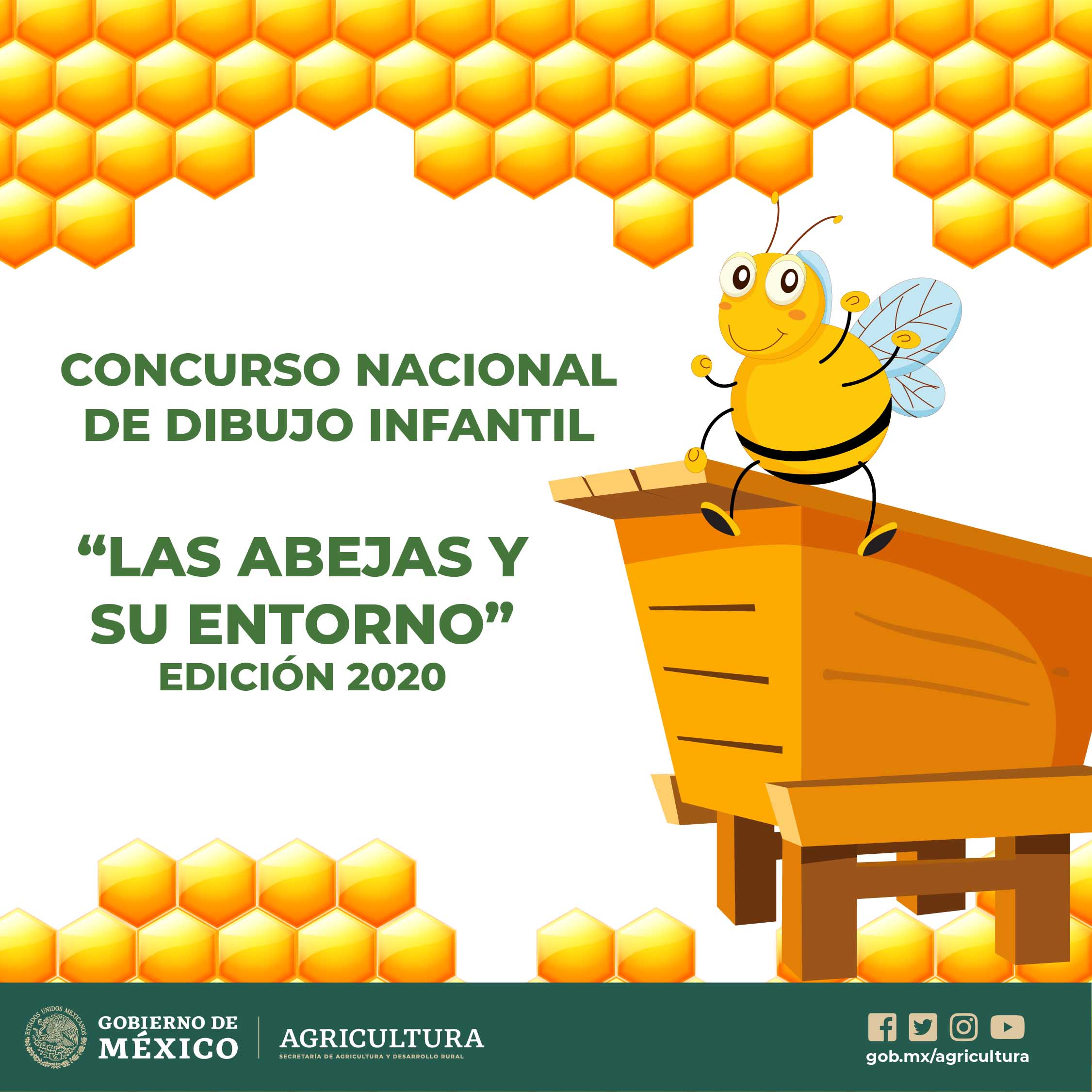Concurso de Dibujo infantil “Las abejas y su entorno” | Representación  AGRICULTURA Tamaulipas | Gobierno 
