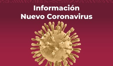 Comunicado Técnico Diario Nuevo Coronavirus en el Mundo
