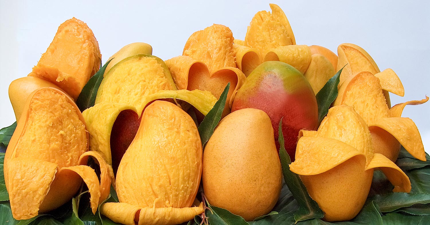 Nayarit es el segundo productor nacional de mango, con 322 mil 388 toneladas anuales