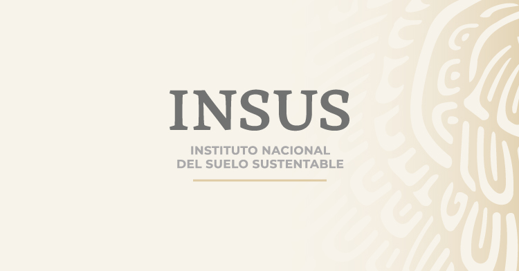 Publicación del Manual General de Organización del INSUS