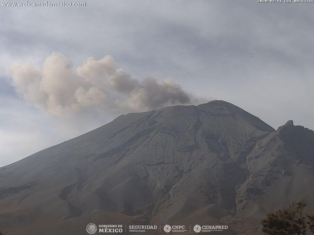 En las últimas 24 horas, mediante los sistemas de monitoreo del volcán Popocatépetl se identificaron 196 exhalaciones, dos explosiones, 477 minutos de tremor y dos sismos volcanotectónicos. 