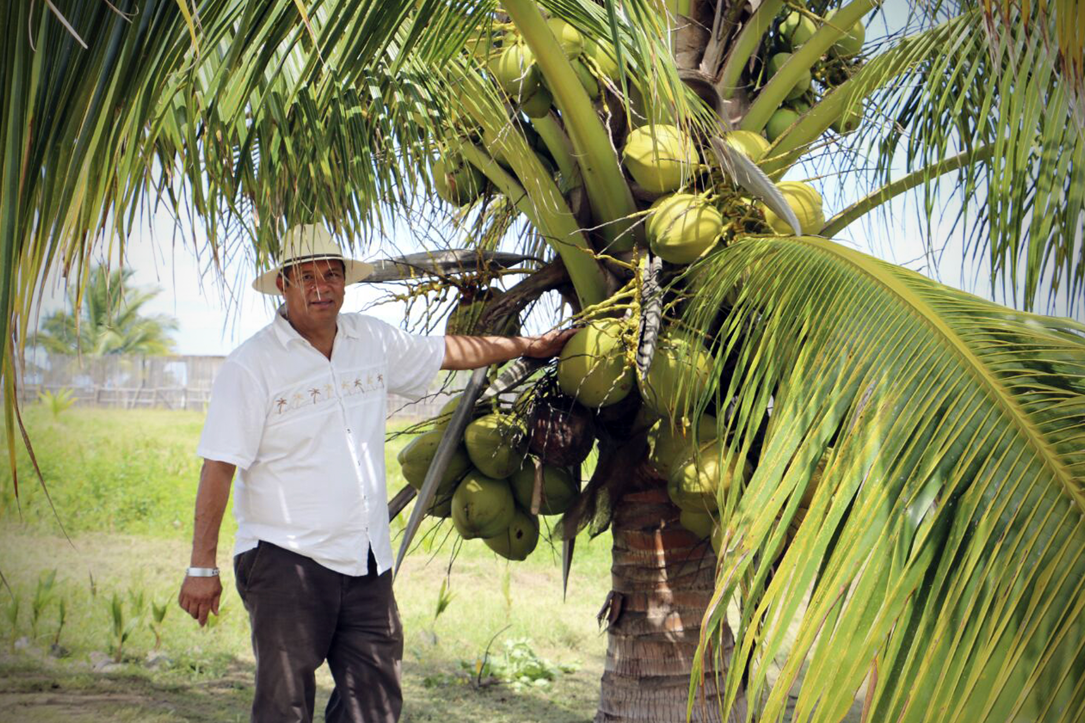 Apoyando a productores de palma de Coco en el Estado de Guerrero