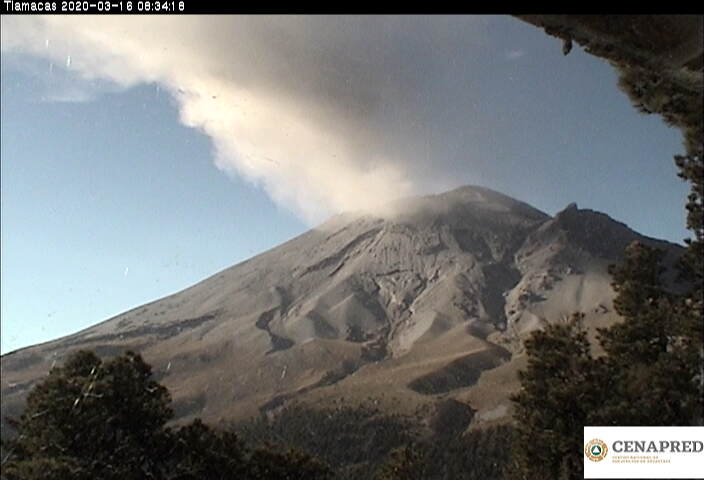 En las últimas 24 horas, mediante los sistemas de monitoreo del volcán Popocatépetl se identificaron 147 exhalaciones acompañadas de vapor de agua, gases volcánicos y ligeras cantidades de ceniza.