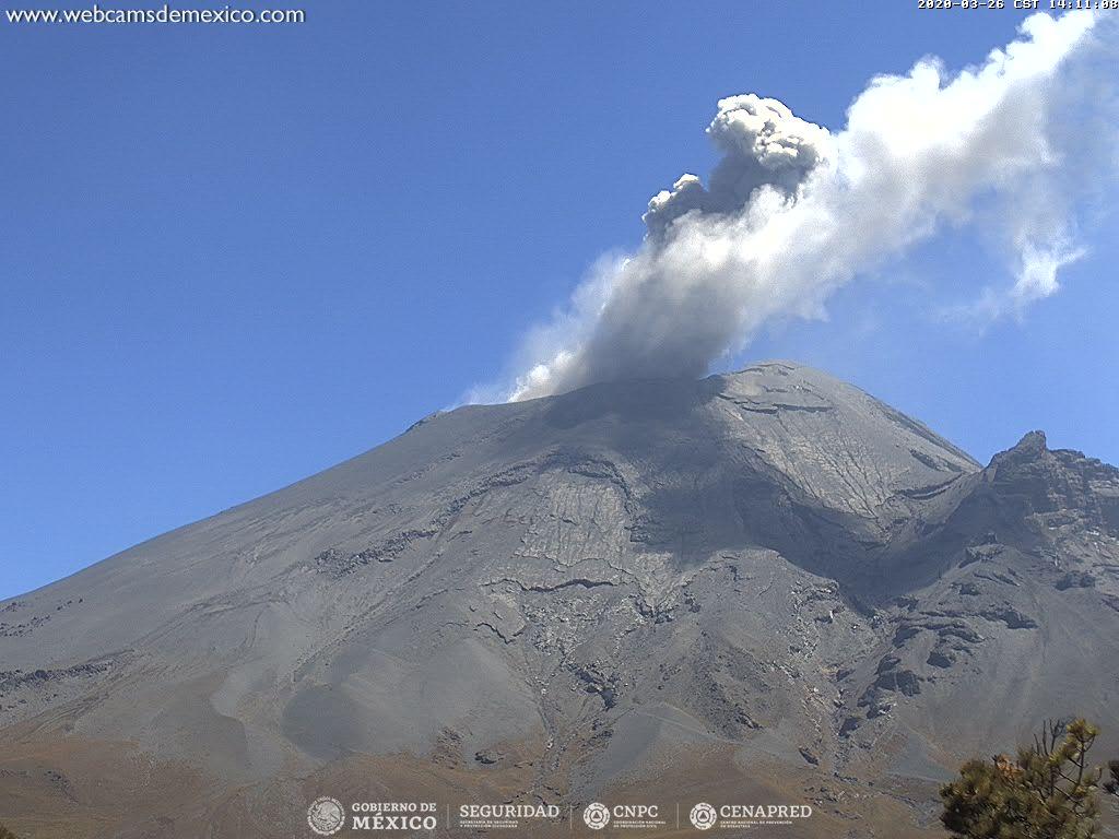En las últimas 24 horas, mediante el sistema de monitoreo del volcán Popocatépetl se identificaron 61 exhalaciones acompañadas de vapor de agua, gases volcánicos y ligeras cantidades de ceniza. 