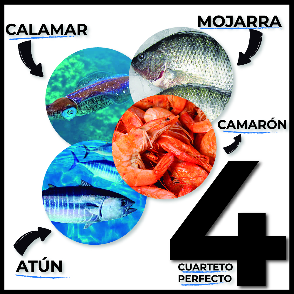El camarón, el atún, la mojarra y el calamar: El cuarteto perfecto para pasar la cuaresma.