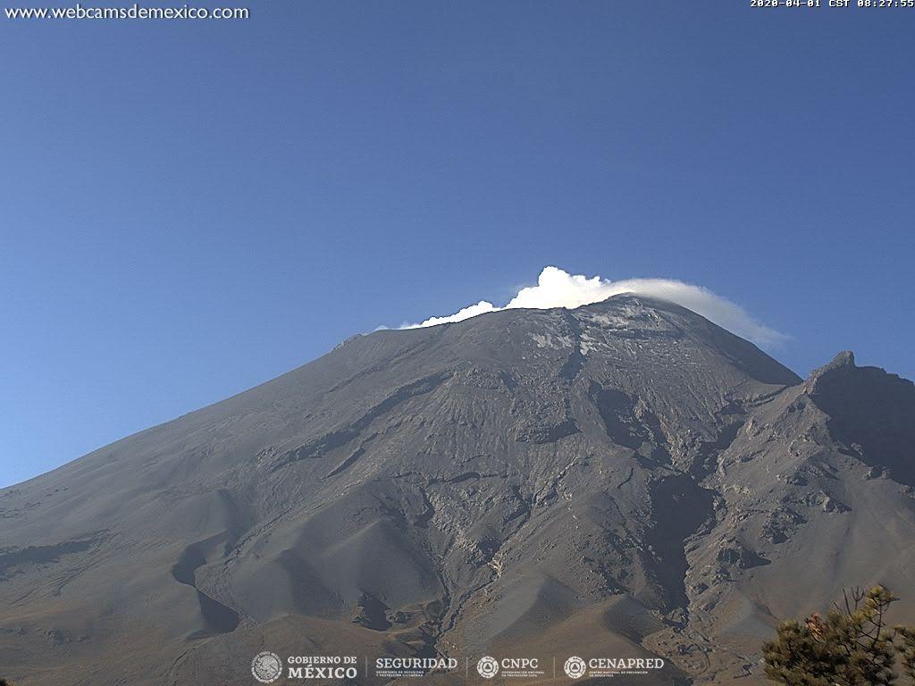 En las últimas 24 horas, mediante el sistema de monitoreo del volcán Popocatépetl se identificaron 100 exhalaciones acompañadas de vapor de agua, gases volcánicos y ligeras cantidades de ceniza.