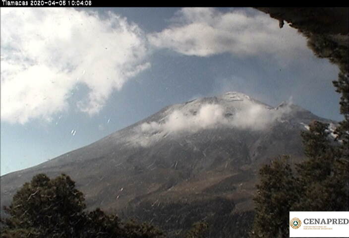En las últimas 24 horas, mediante el sistema de monitoreo del volcán Popocatépetl se identificaron 137 exhalaciones acompañadas de vapor de agua, gases volcánicos y ligeras cantidades de ceniza.