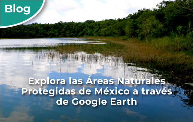Una de las Áreas Naturales Protegidas de México en Google Earth.