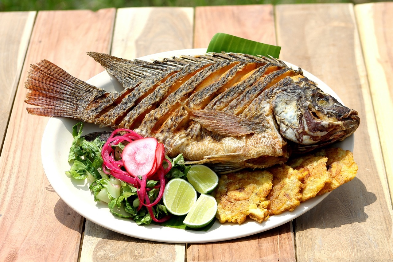 Tilapia, un pescado muy nutritivo