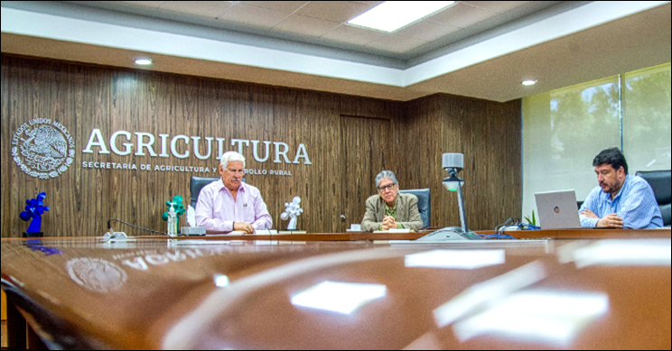 Brinda Segalmex certeza a productores de maíz de Sinaloa, Sonora, Tamaulipas y Chihuahua