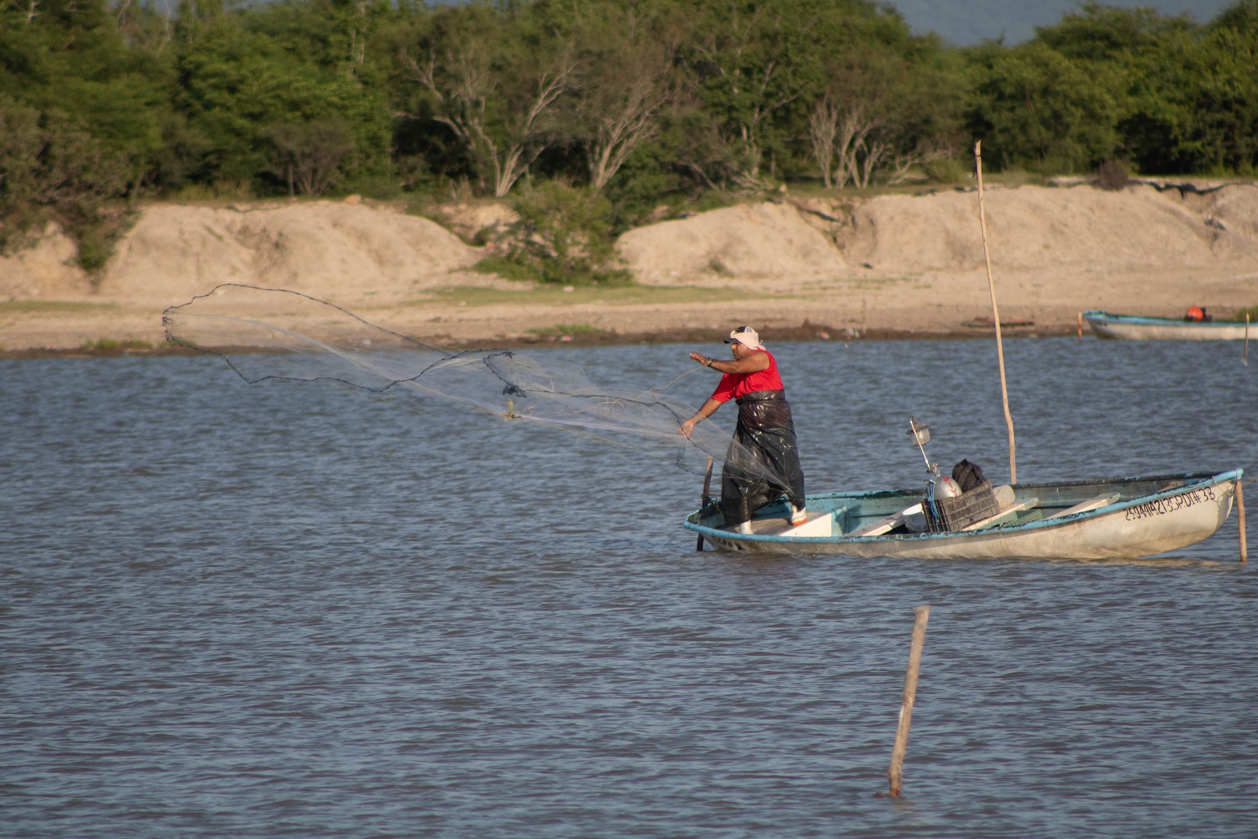 Los resultados alcanzados en este modelo de producción pesquero de Sinaloa, permiten posicionar al programa como un referente para aplicar en otros sistemas lagunares del país.