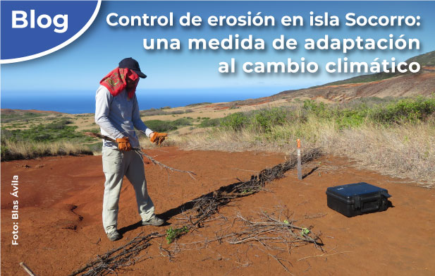 Control de erosión en isla Socorro: una medida de adaptación al cambio climático