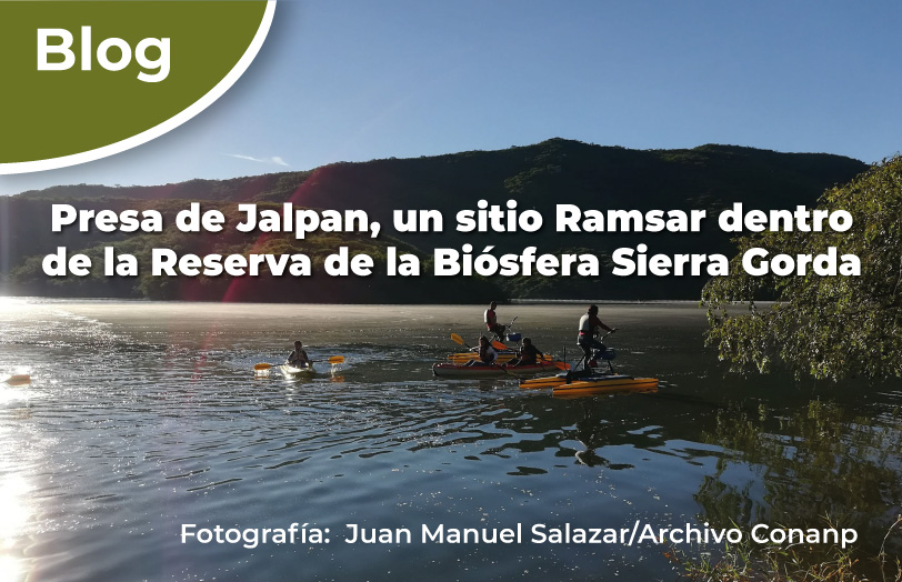 Sitio Ramsar Presa de Jalpan.