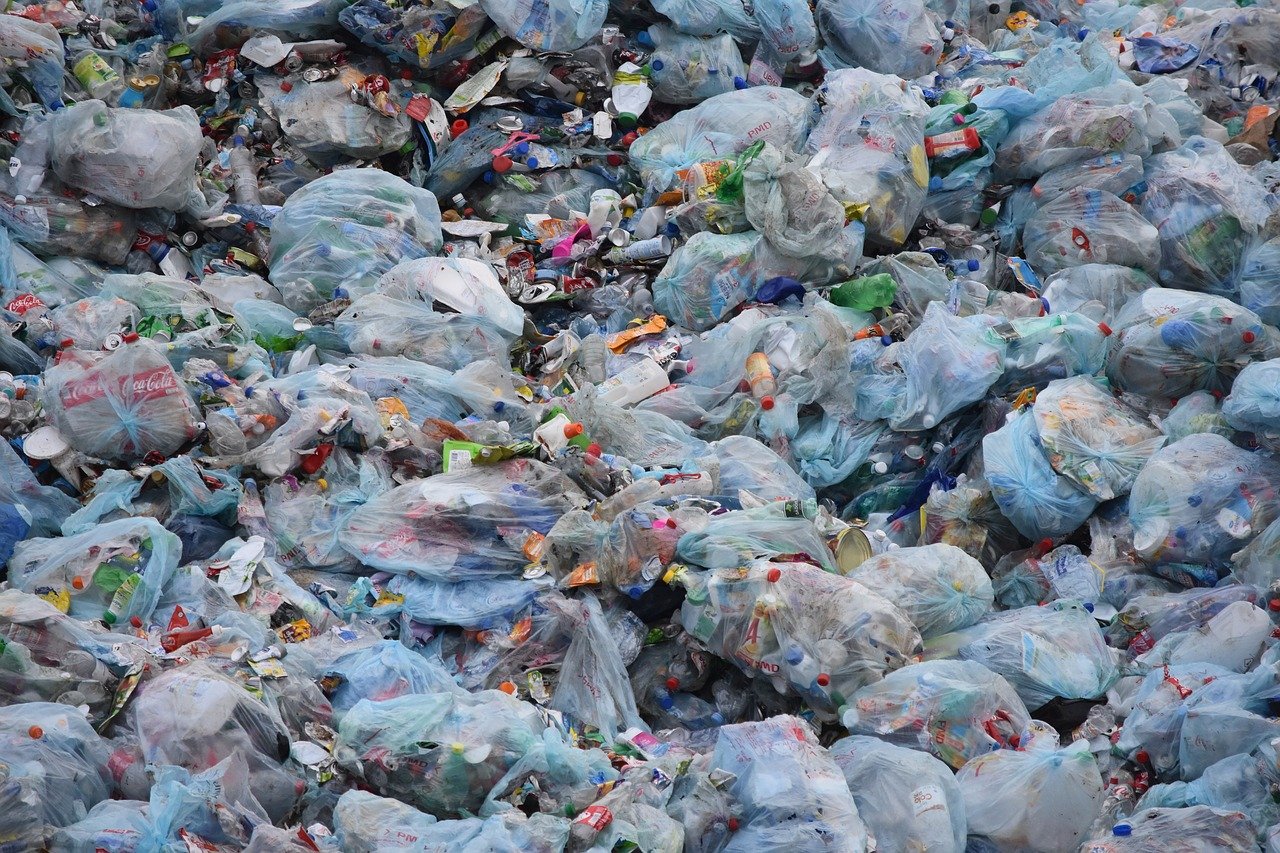 Las bolsas de plástico alteraron el paisaje, se dispersaron por todos los rincones del planeta e impactan la biodiversidad. Su emblemática presencia de la Era del Plástico genera preocupación global.