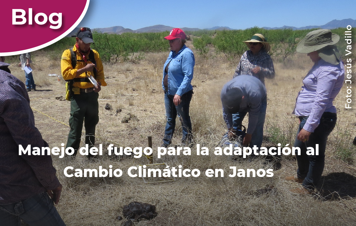 Manejo del fuego para la adaptación al Cambio Climático en la Reserva de la Biósfera Janos.