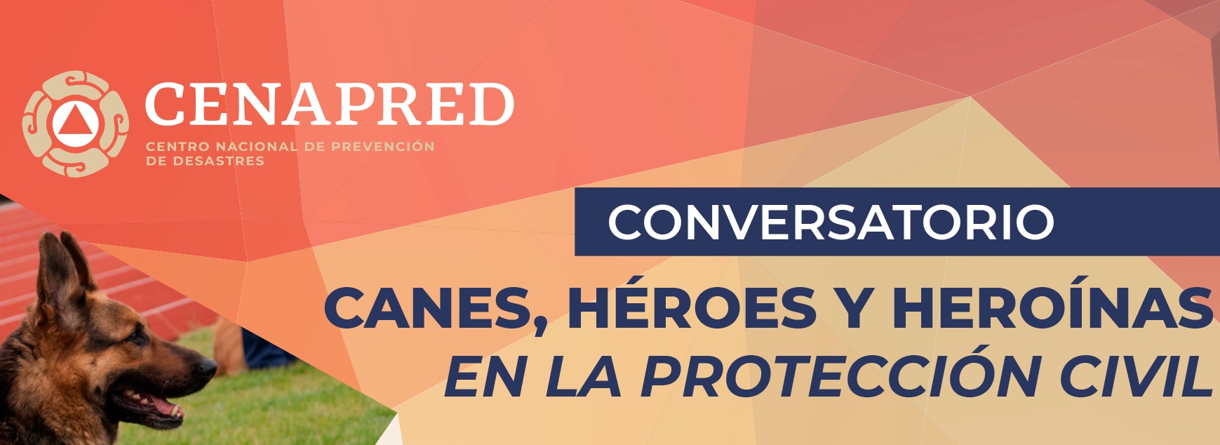 Imagen del conversatorio "Canes, héroes y heroínas en la protección civil.