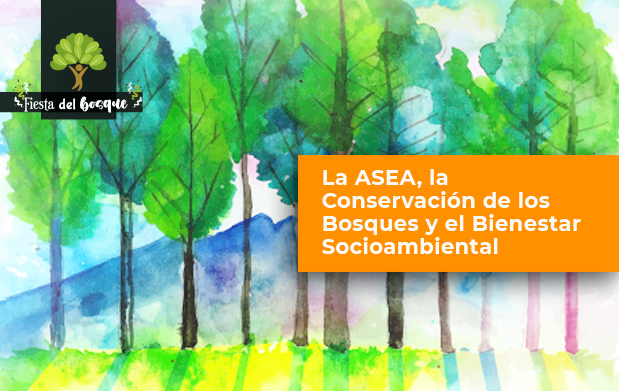 imagen ilustrativa de un bosque con el nombre del foro La ASEA, la conservación de los bosques y el bienestar socioambiental
